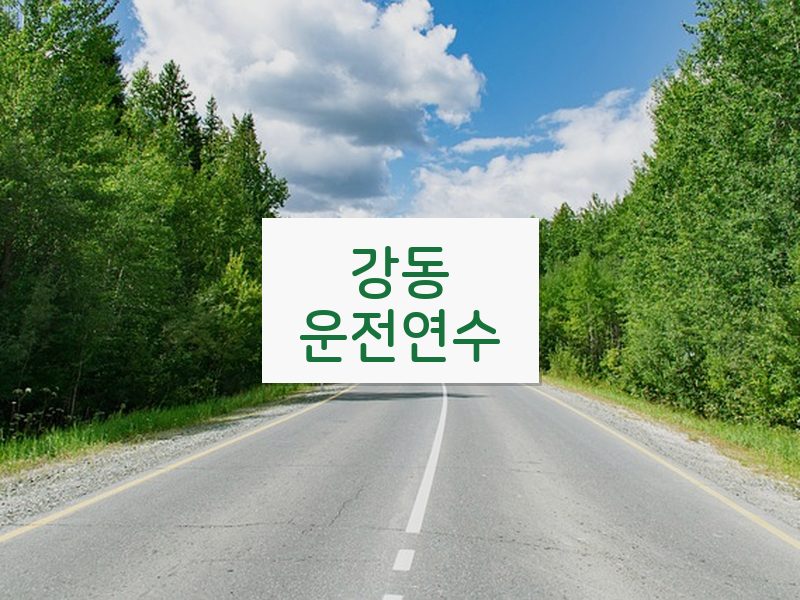 강동운전연수 후기