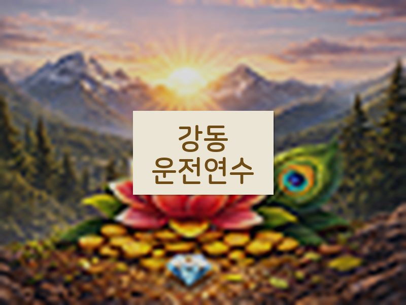 강동운전연수 후기