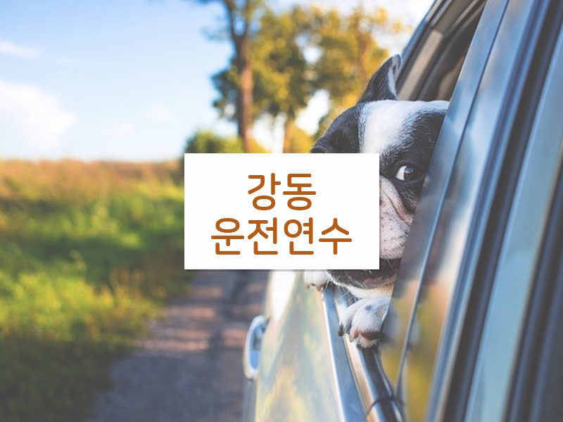 강동운전연수 후기