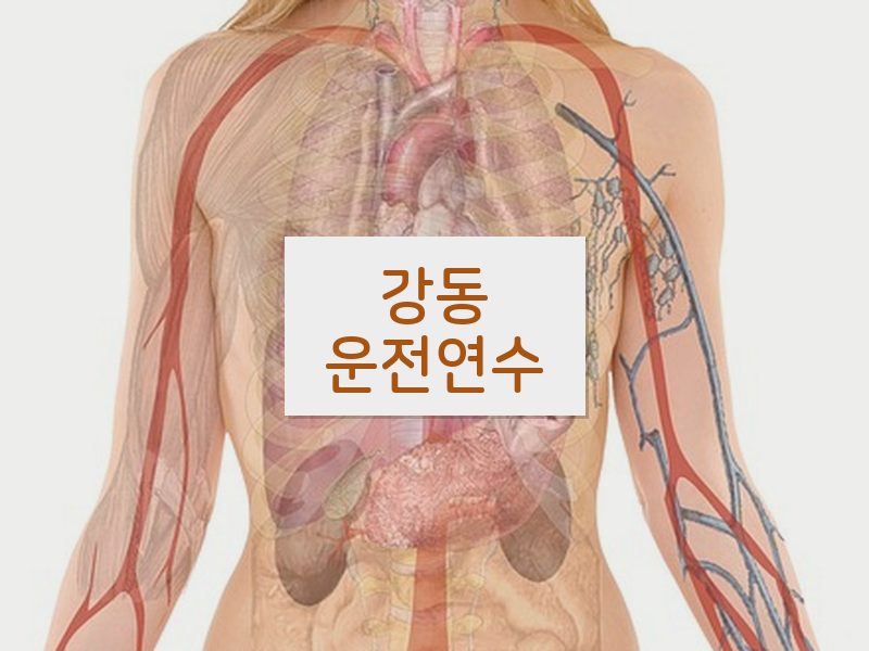 강동운전연수 후기