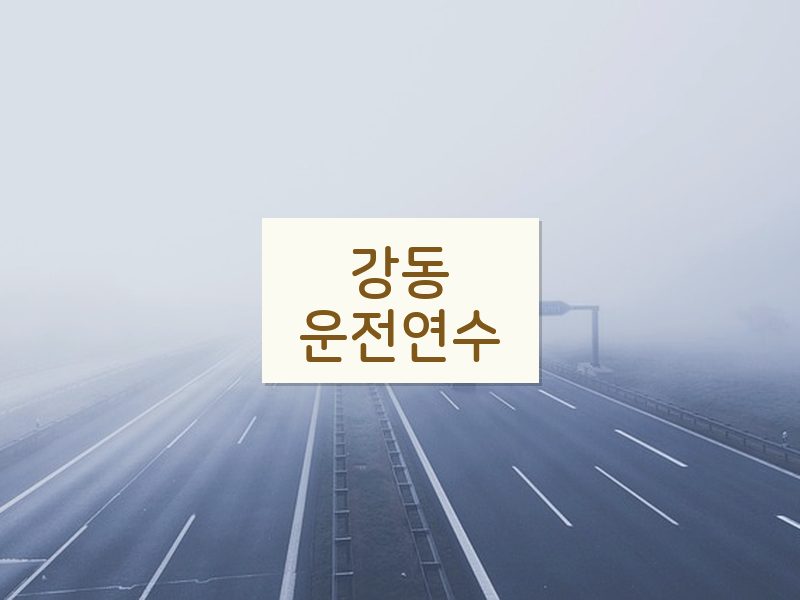 강동운전연수 후기
