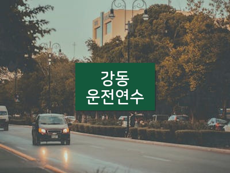 강동운전연수 후기