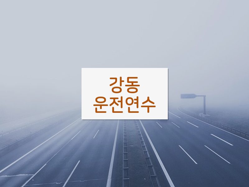 강동운전연수 후기
