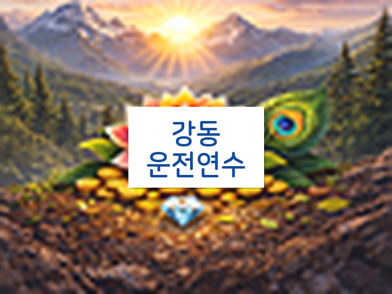 강동운전연수 후기