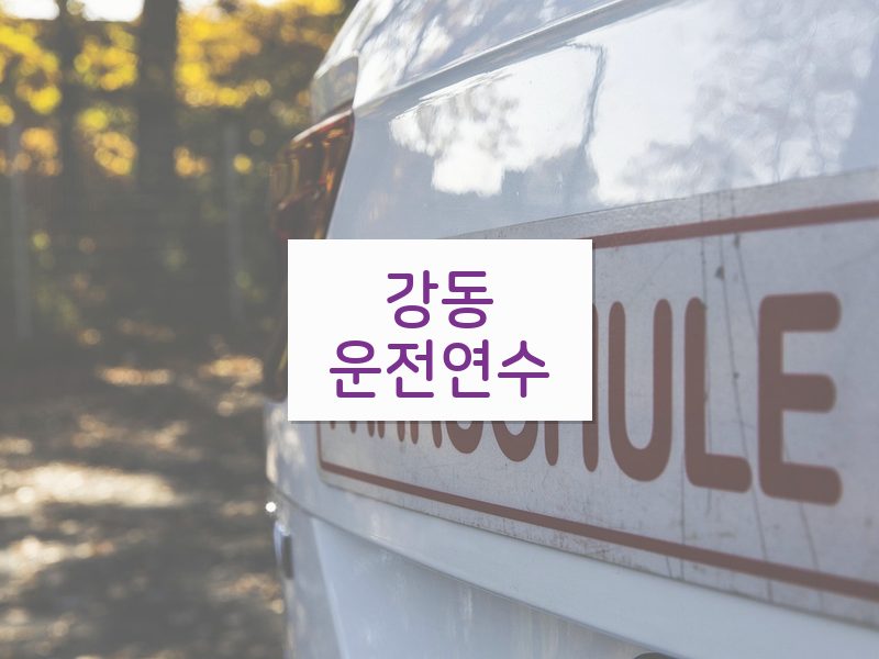강동운전연수 후기