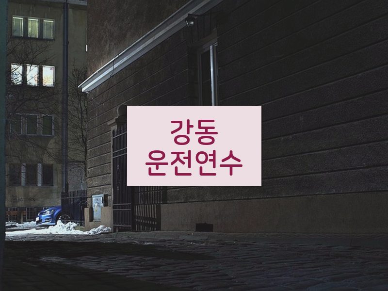 강동운전연수 후기