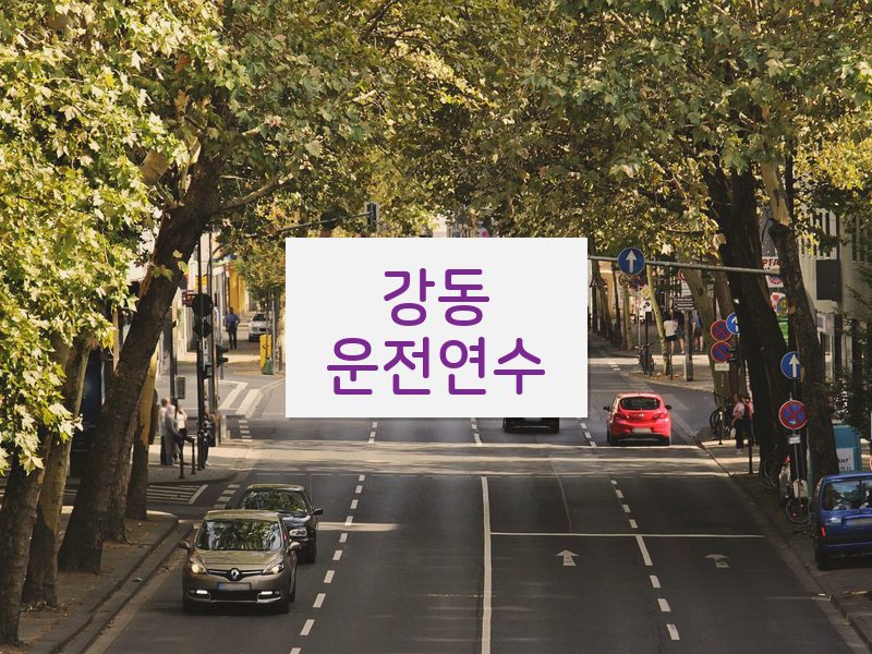 강동운전연수 후기