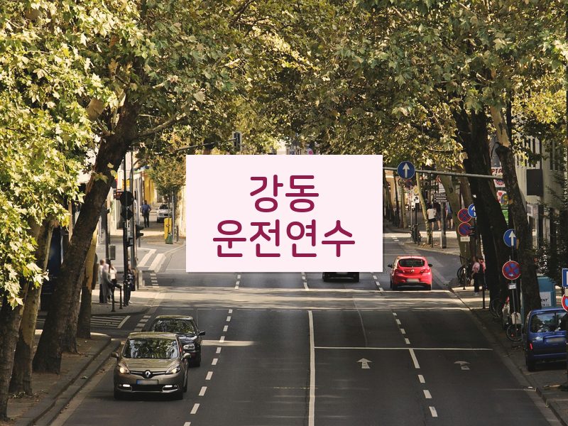강동운전연수 후기