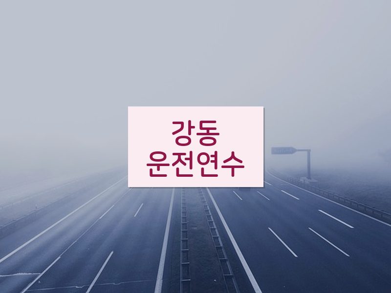 강동운전연수 후기