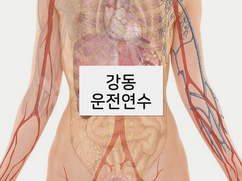 강동운전연수 후기