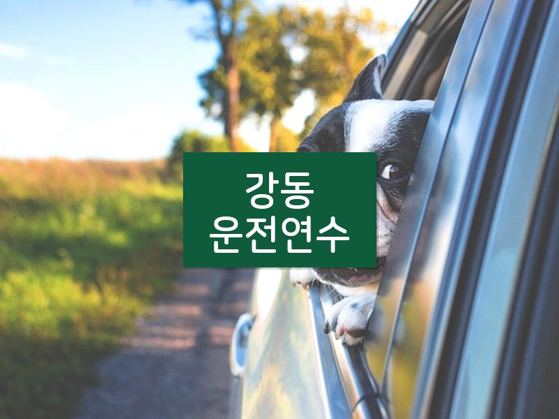 강동운전연수 후기
