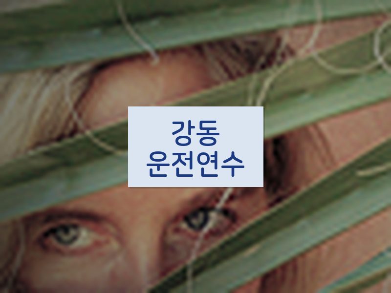 강동운전연수 후기