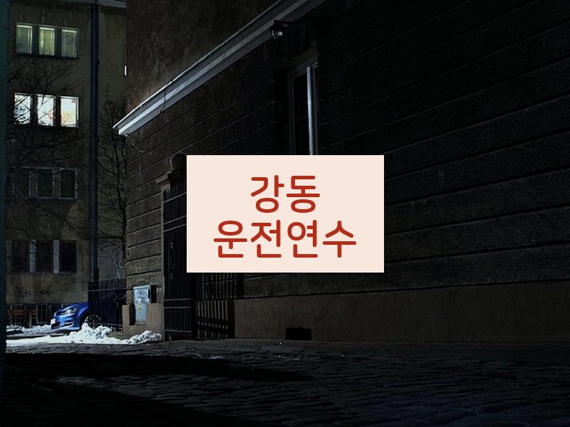 강동운전연수 후기