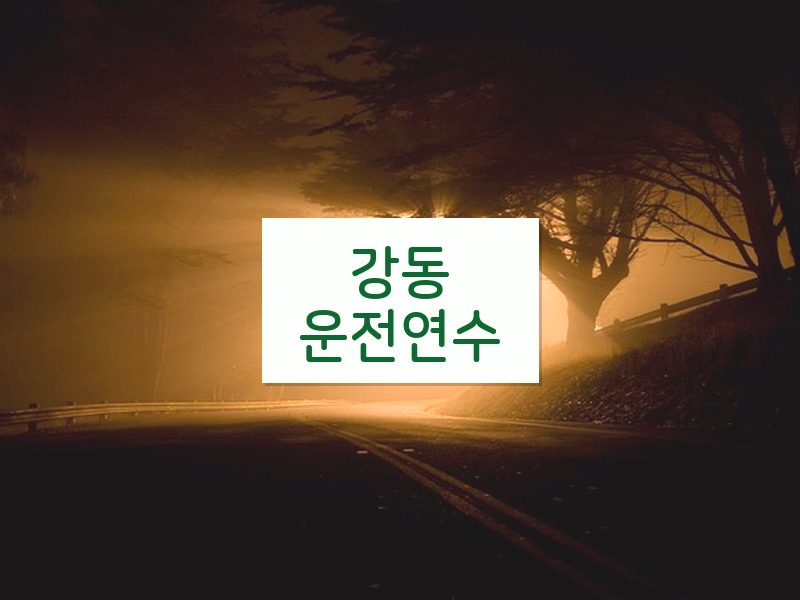 강동운전연수 후기