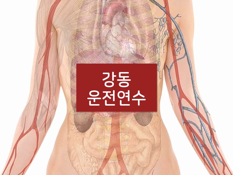 강동운전연수 후기