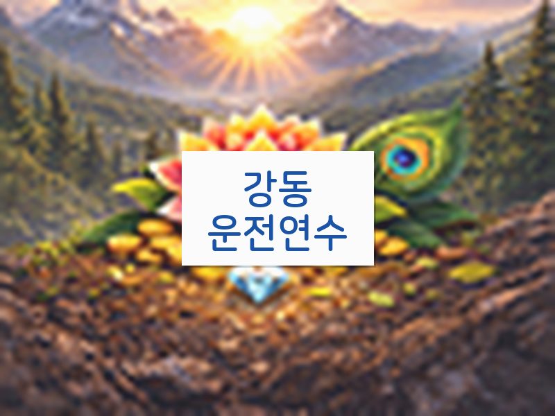 강동운전연수 후기