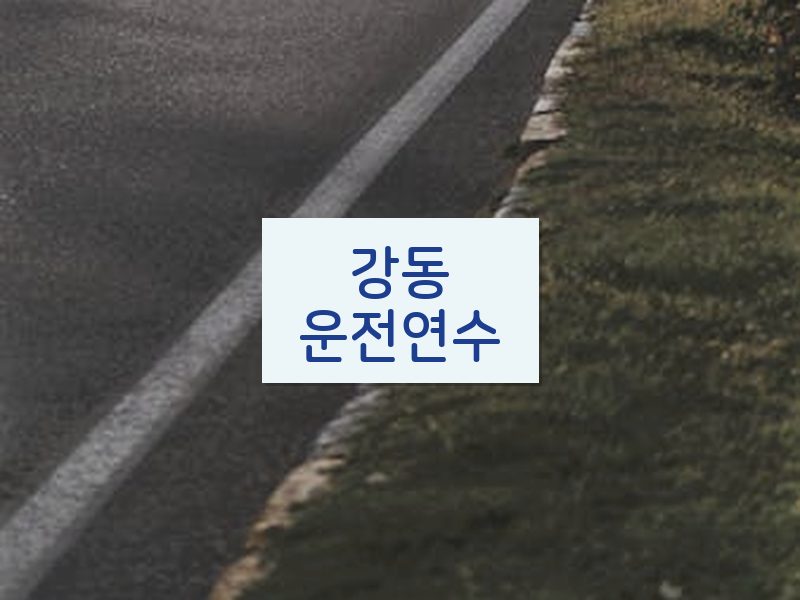 강동운전연수 후기