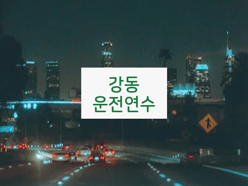 강동운전연수 후기