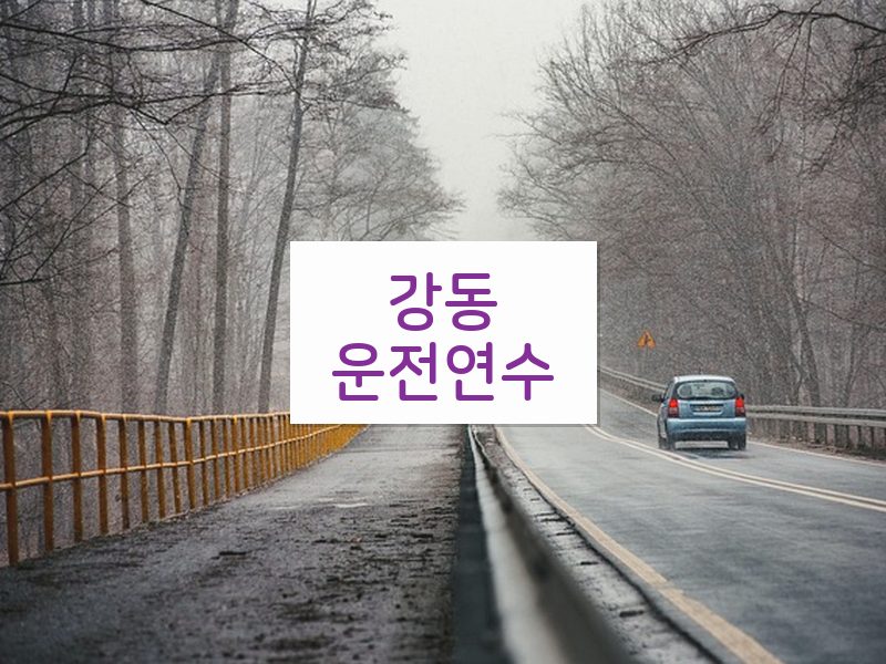 강동운전연수 후기
