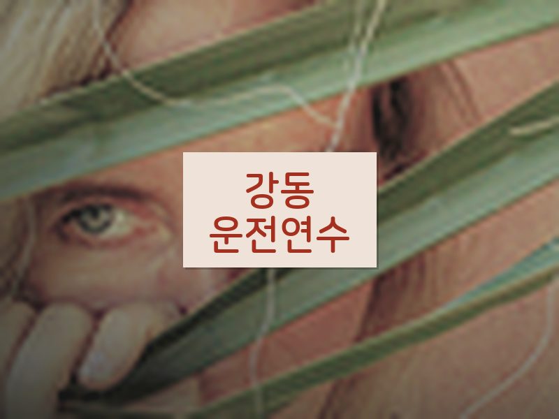 강동운전연수 후기