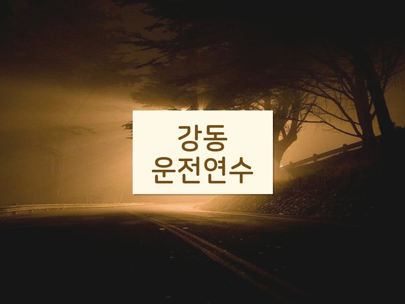 강동운전연수 후기