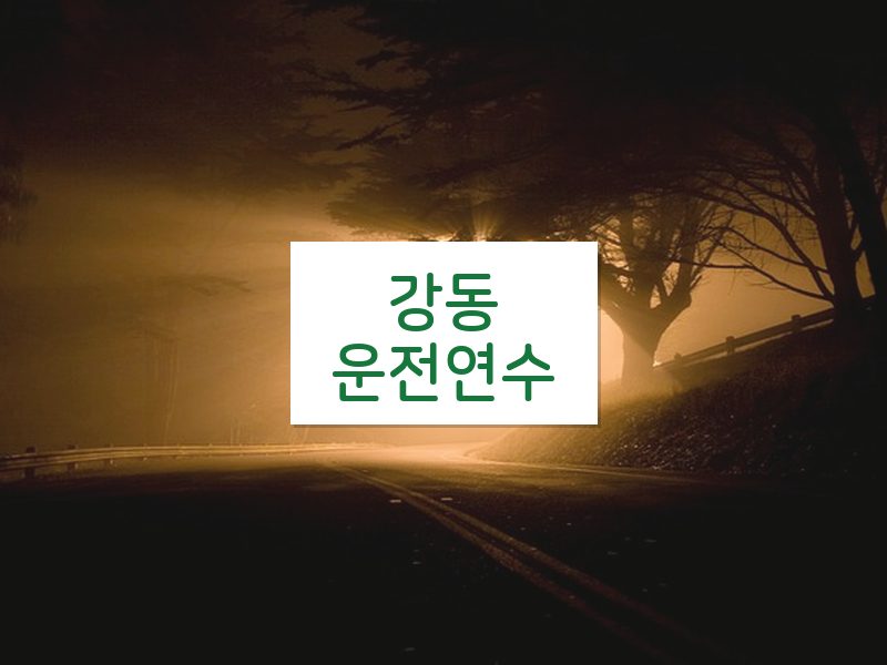 강동운전연수 후기