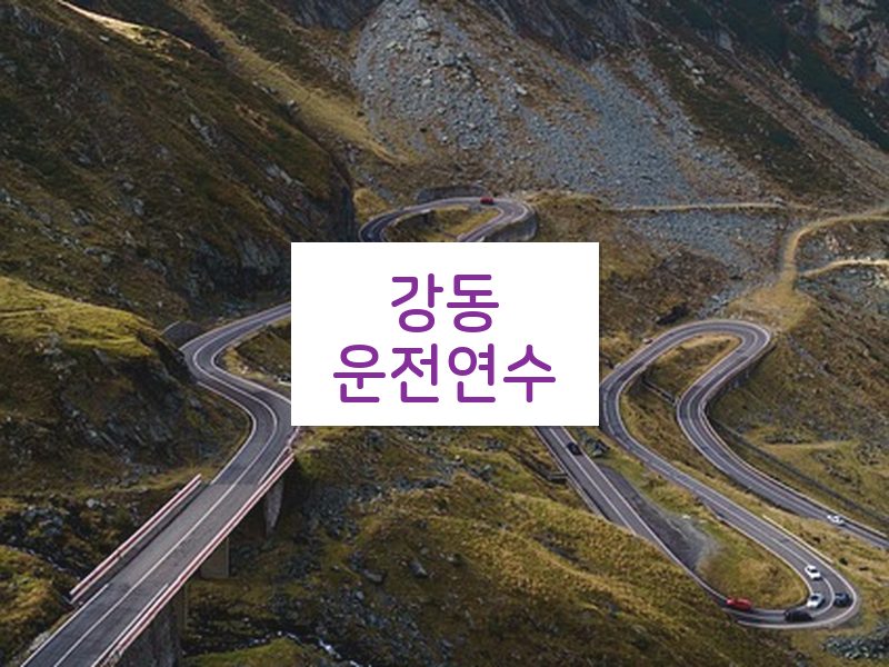 강동운전연수 후기