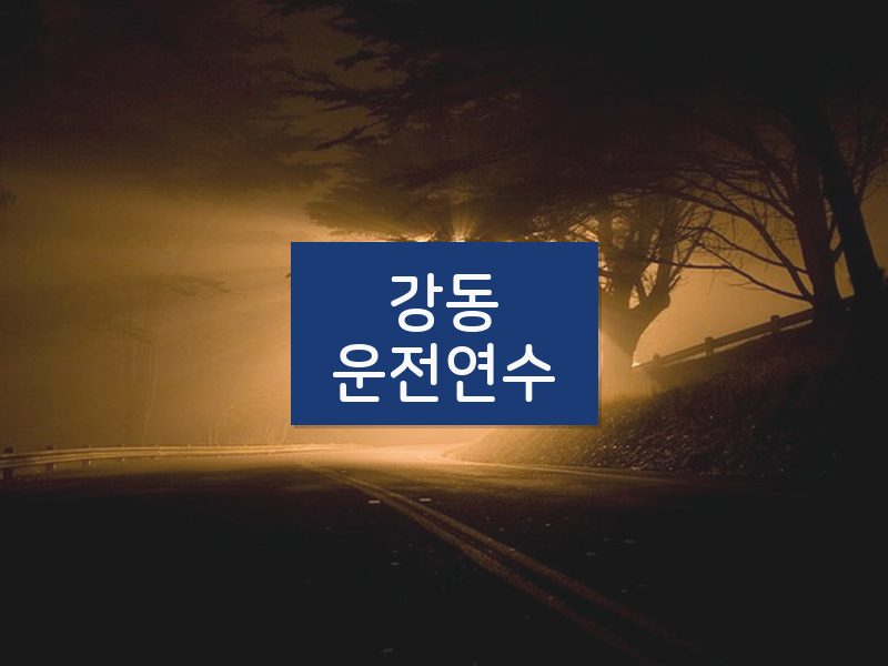 강동운전연수 후기