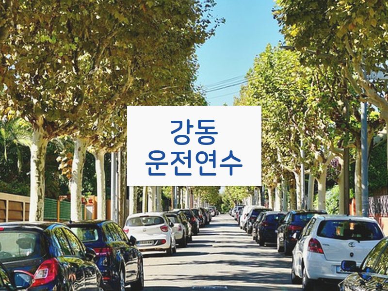 강동운전연수 후기