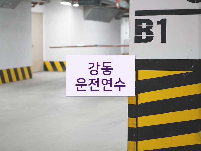 강동운전연수 후기