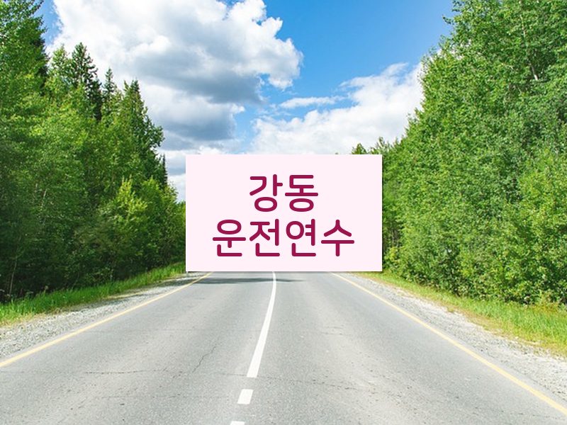 강동운전연수 후기
