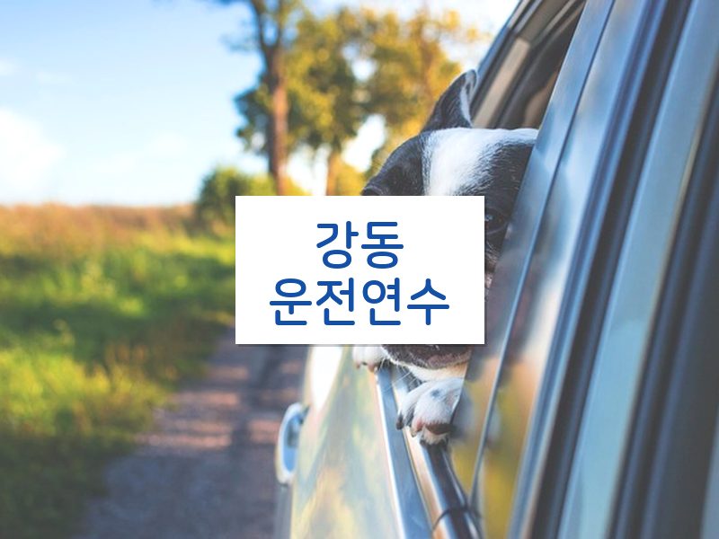 강동운전연수 후기