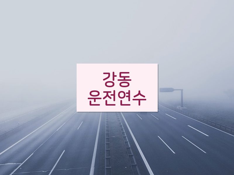 강동운전연수 후기