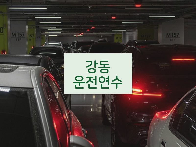 강동운전연수 후기