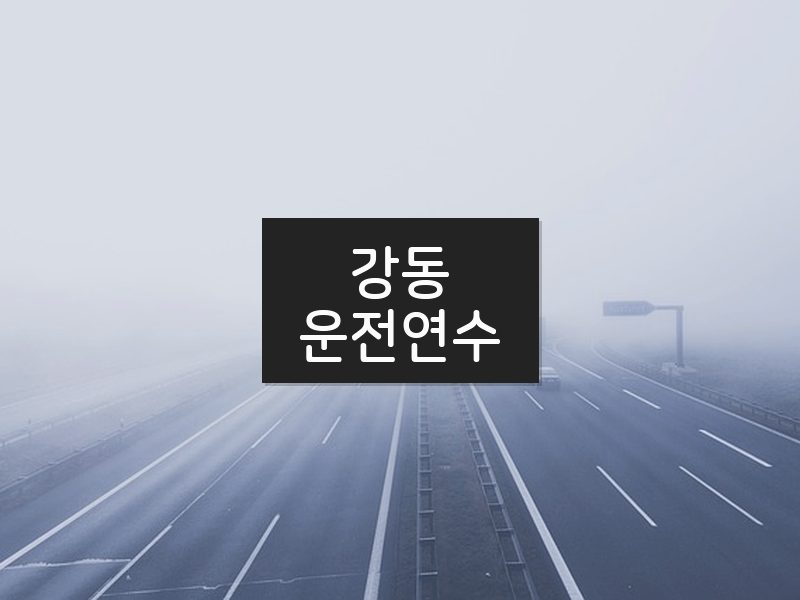 강동운전연수 후기