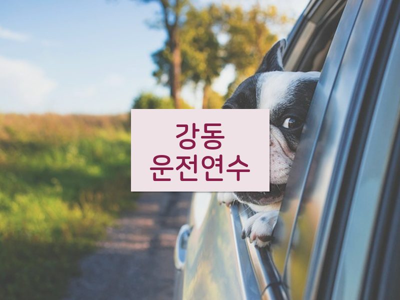 강동운전연수 후기