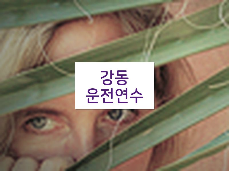 강동운전연수 후기