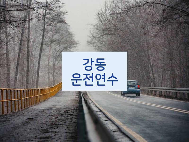 강동운전연수 후기