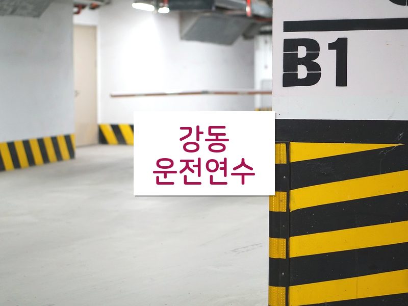 강동운전연수 후기