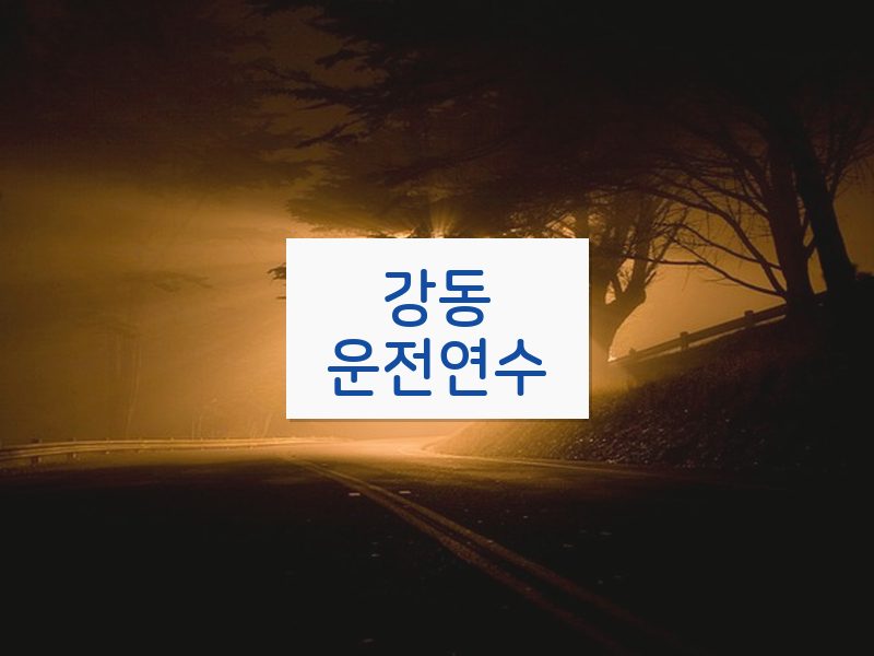 강동운전연수 후기