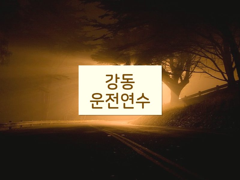 강동운전연수 후기