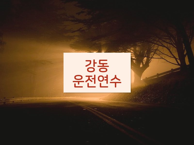 강동운전연수 후기