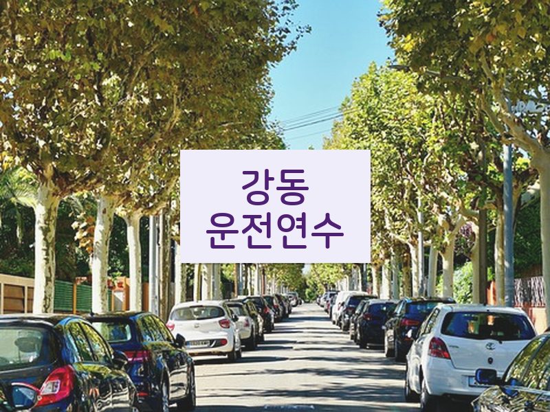 강동운전연수 후기
