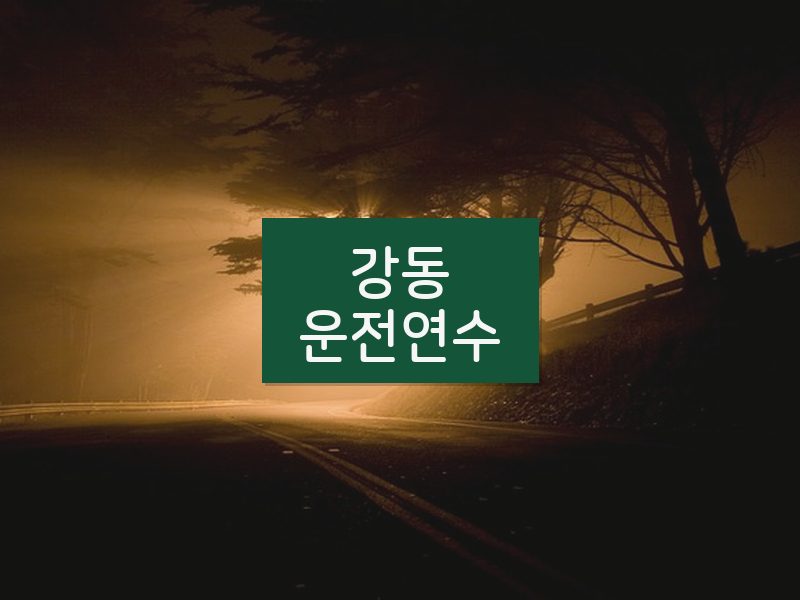 강동운전연수 후기