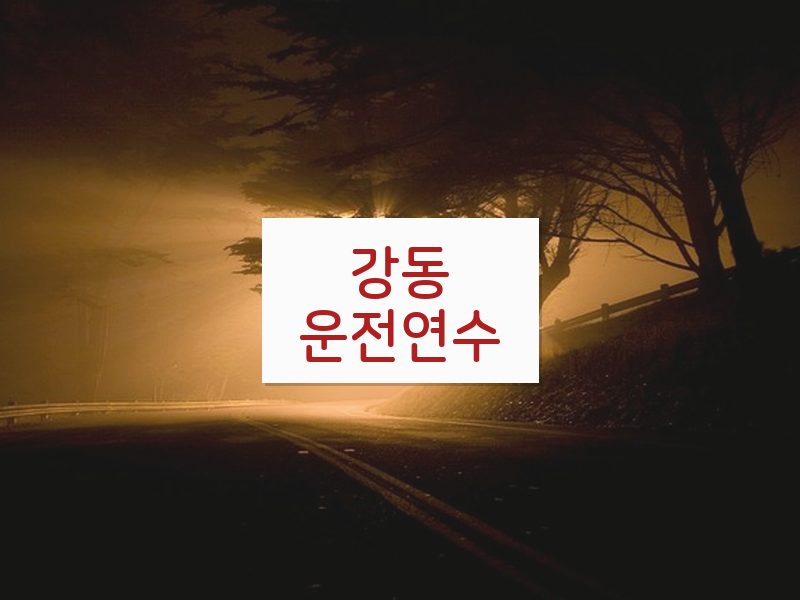 강동운전연수 후기