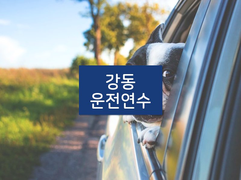 강동운전연수 후기