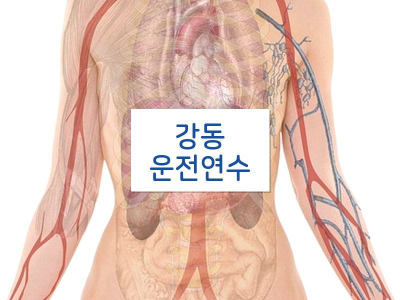강동운전연수 후기