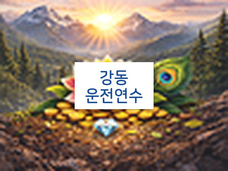강동운전연수 후기