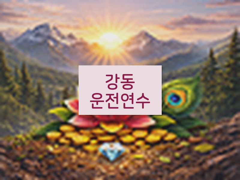 강동운전연수 후기