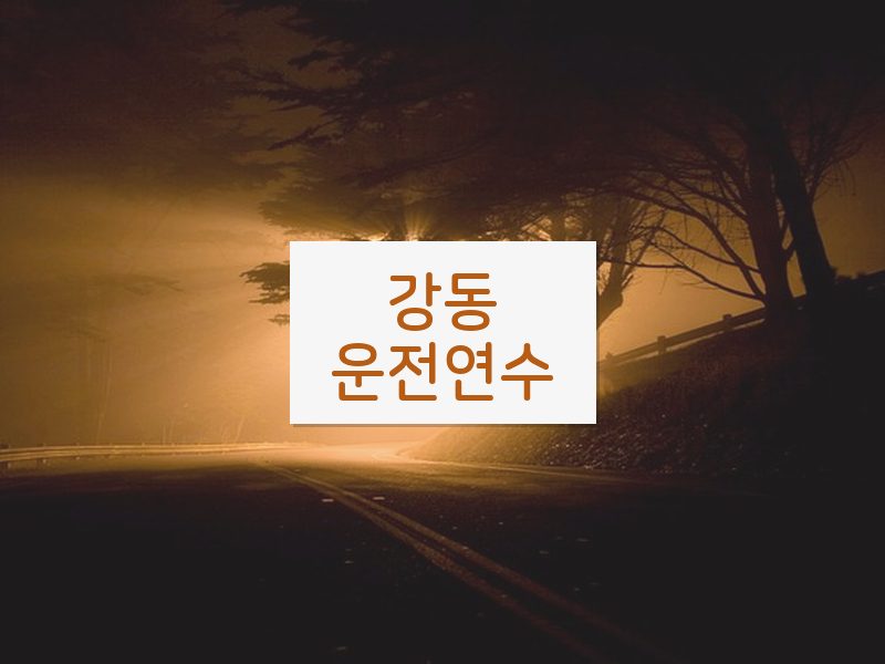 강동운전연수 후기
